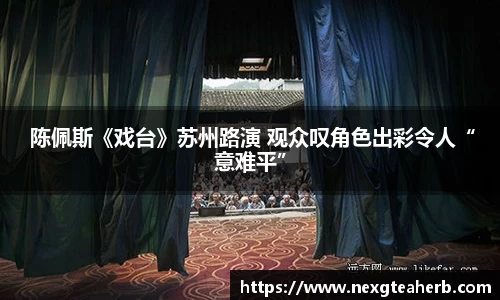  陈佩斯《戏台》苏州路演 观众叹角色出彩令人“意难平”